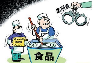 第七營養(yǎng) 應(yīng)對中國老人與富人的食品安全焦慮——聚焦專業(yè)營養(yǎng)咨詢服務(wù)的崛起